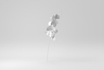 Orchid branch on white background. Paper minimal concept. 3D render.