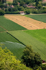 Obraz premium culture 293