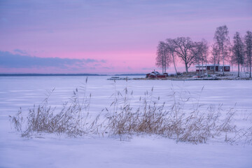Delicate Winter Light