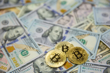 bitcoin and dollars