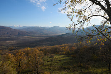 Mountain landscape with autumn yellow trees - 481415437
