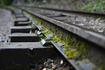 Mossy old railway close up - 481415471