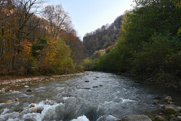 Landscape with mountain river in autumn - 481415498