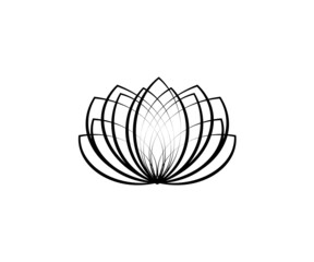 Blooming lotus on a white background. Vector illustration.