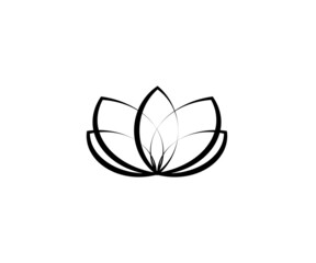 Blooming lotus on a white background. Vector illustration.