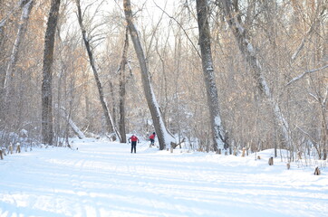 teen in the woods on skis