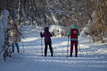 children are skiing in the forest