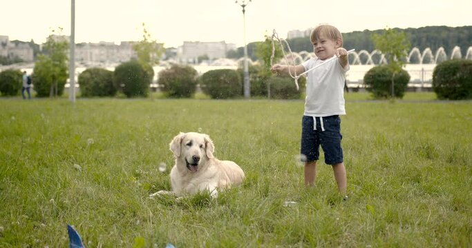 Child playing with giant soap bubbles and dog
