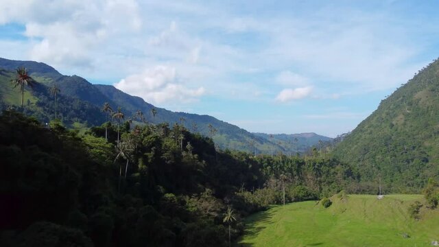 VALLE DEL COCORA, SALENTO, QUIND&Iacute;O, COLOMBIA 4K