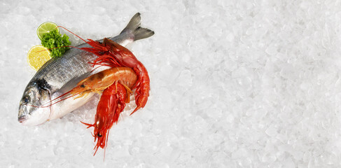 Grey Gilthead Seabream with Carabinero Shrimps on Crushed Ice isolated on white Background -...