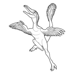 Jumping microraptor isolated on a white background.