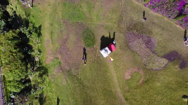 WILLYS - JEEP TRANSPORTE VALLE DE COCORA SALENTO COLOMBIA