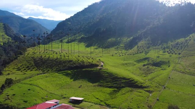 MONTA&Ntilde;AS VALLE DEL COCORA COLOMBIA QUINDIO