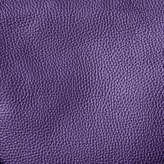 Textured texture genuine leather. Background. Square size. 
