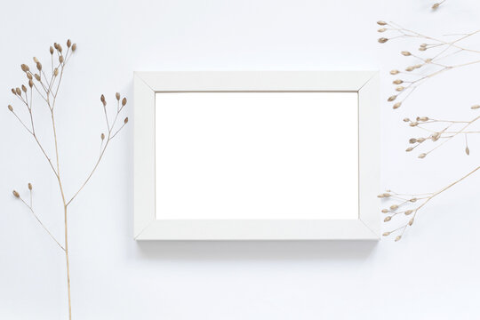 empty horizontal photography frame with free space