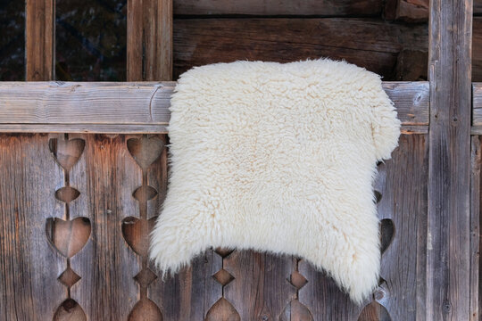 Sheep skin on in a wood house in rural countryside. Travel, tourism and environment concept.