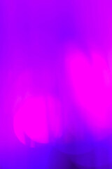 The abstract color neon texture background