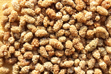 Getrocknete Maulbeeren auf einem brauen Jutesack