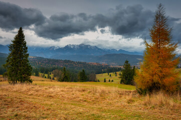 A cloudy sunrise on the meadow under the Tatra Mountains at autumn. Poland