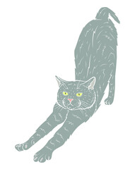 Realistic cat stretches in isolate on white background. Vector graphics.