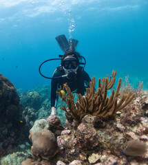 woman posing for a photo together with the coral