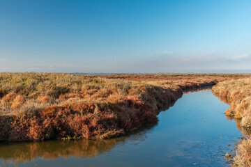 Breathtaking winter landscape in the Badlands of Camargue France