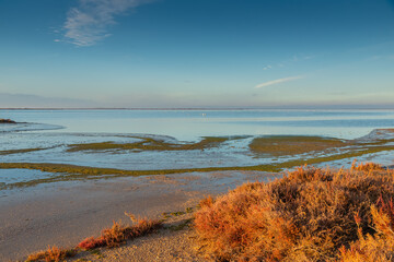 Breathtaking winter landscape in the Badlands of Camargue France