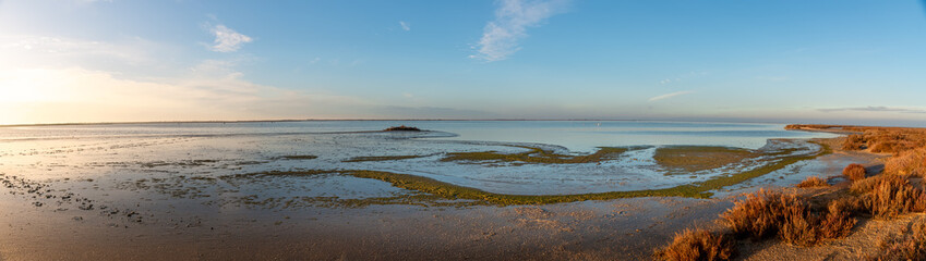 Breathtaking winter landscape in the Badlands of Camargue France