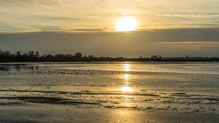 Fototapeta premium Breathtaking winter landscape in the Badlands of Camargue France