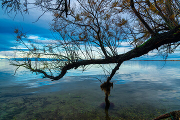Breathtaking winter landscape in the Badlands of Camargue France