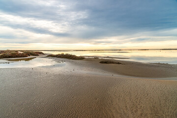 Breathtaking winter landscape in the Badlands of Camargue France