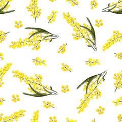 Seamless pattern of Mimosa branches and leaves