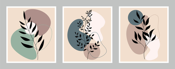 A botanical set of three paintings. Drawing of a foliage line with an abstract shape. Abstract design.