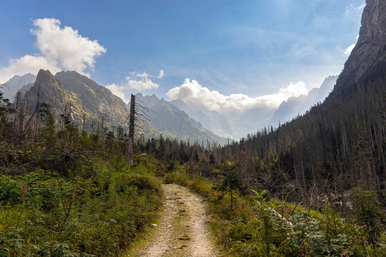 silence in the valley of white water
