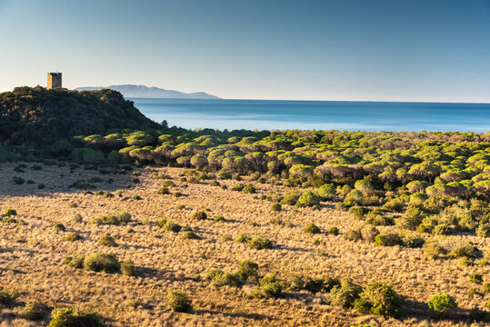 Parco della Maremma 
