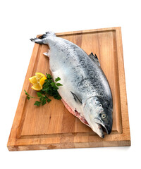 salmon in studio