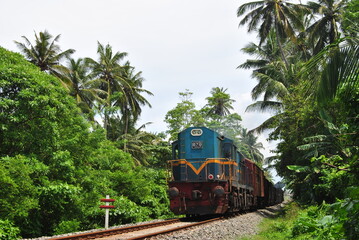 Train in the jungle, railway in the jungle, train rides through the jungle, jungle, Sri Lanka.