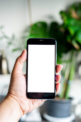 Hand holding on mobile phone with blank white screen.