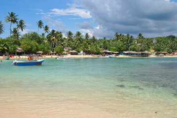 Sri Lanka island, Beach, palm trees, lagoon. Sea, ocean. Ceylon, India. A boat in the sea.
