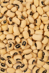 black-eyed peas isolated on white background