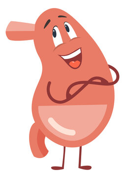 Funny cartoon stomach. Food digestion organ in cute style