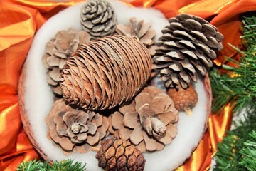 Festive New Year's still life of fir branches and cones