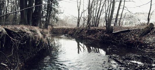 A dark river