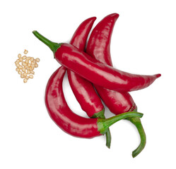 Peppers bitter isolated on a white background