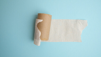 End of toilet paper roll.