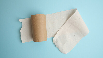 End of toilet paper roll.