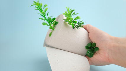 Green plants in a roll of toilet paper on a blue background.