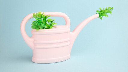 watering can with plant