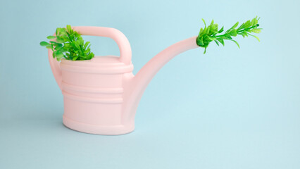 watering can with plant