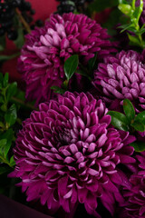 Fototapeta premium Purple bouquet of chrysanthemums with black berries and green leaves close up